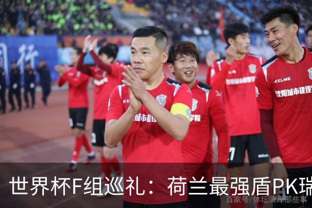 世界杯F组巡礼：荷兰最强盾PK瑞典犀利刀 日本短板明显