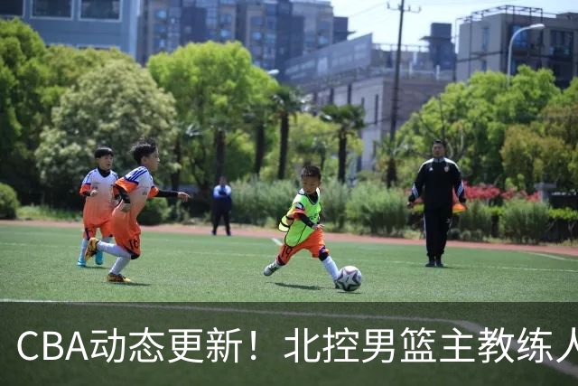 CBA动态更新！北控男篮主教练人选揭晓，杜锋有望续约广东宏远